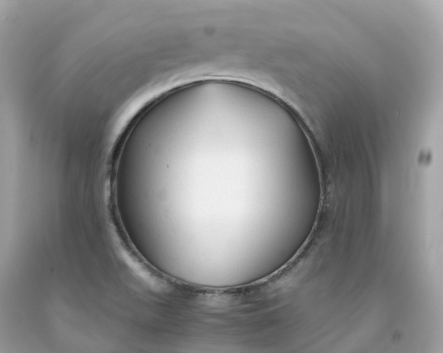 X0000091491511200709061850