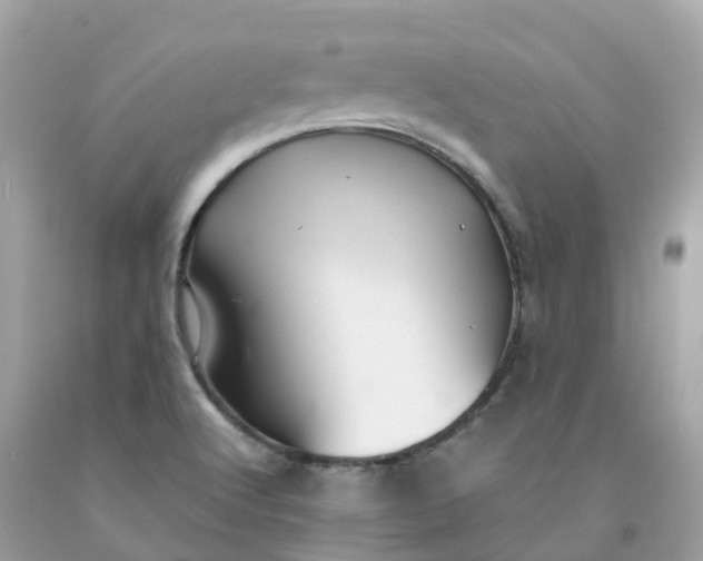 X0000091491512200709061850