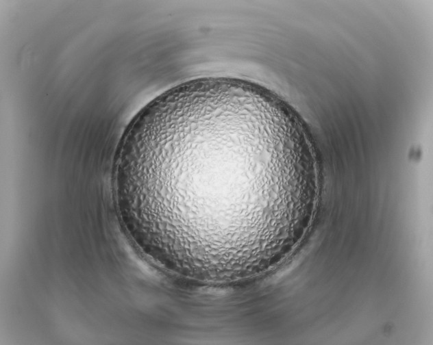 X0000091491513200709061850