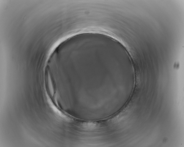 X0000091491515200709061850