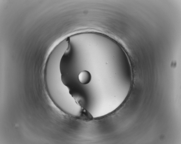 X0000091491516200709061850