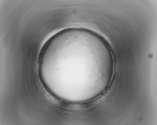 X0000091491517200709061850