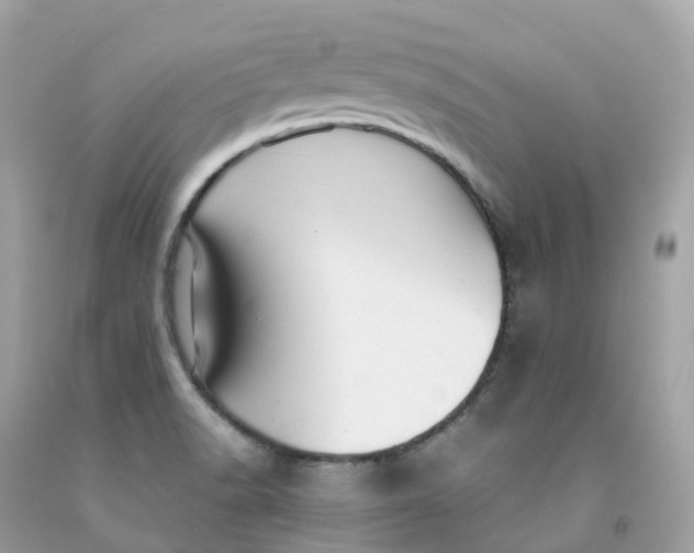 X0000091491518200709061850