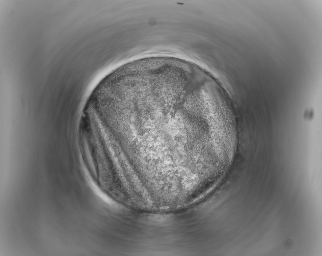 X0000091491519200709061850