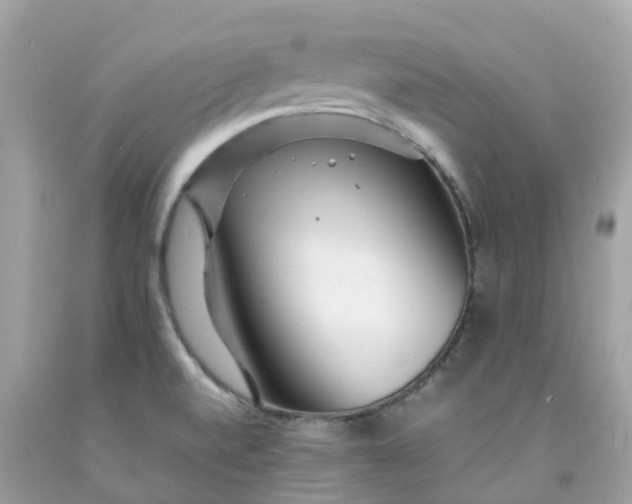 X0000091491520200709061850