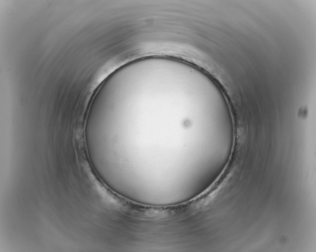 X0000091491521200709061850