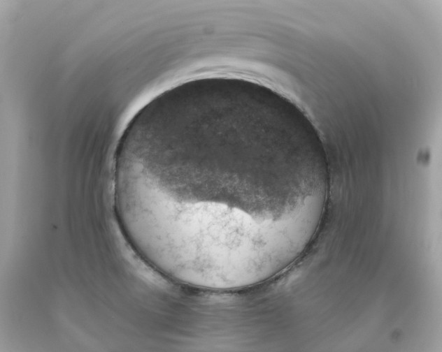 X0000091491522200709061850