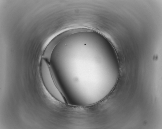 X0000091491524200709061850