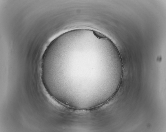 X0000091491526200709061850