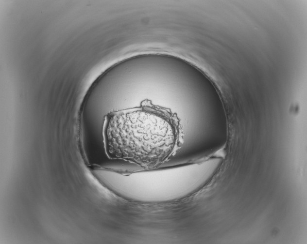 X0000091491527200709061850