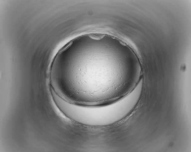 X0000091491528200709061850