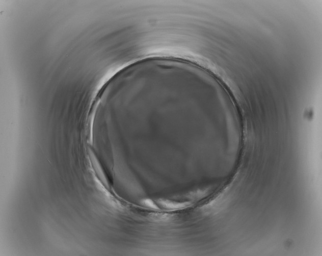 X0000091491529200709061850