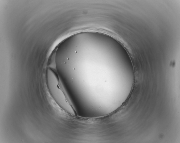 X0000091491530200709061850