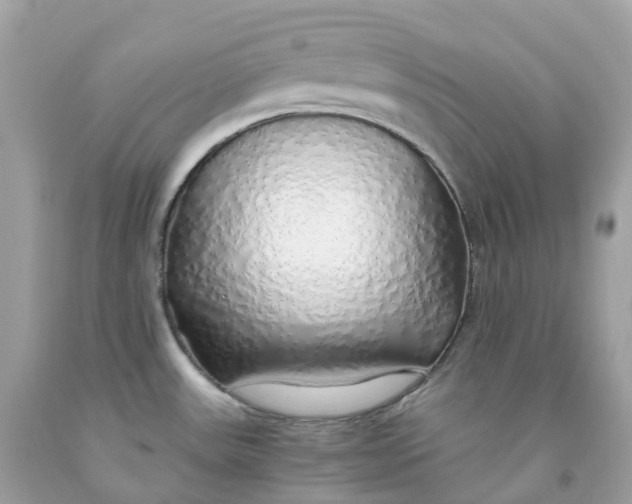 X0000091491531200709061850