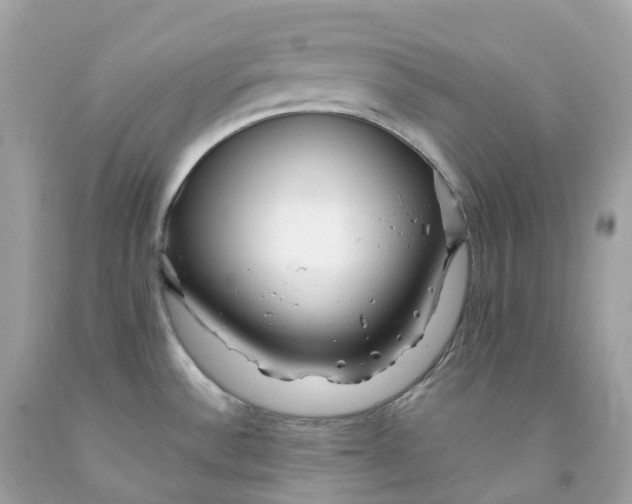 X0000091491532200709061850