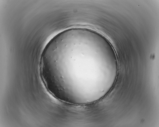 X0000091491533200709061850