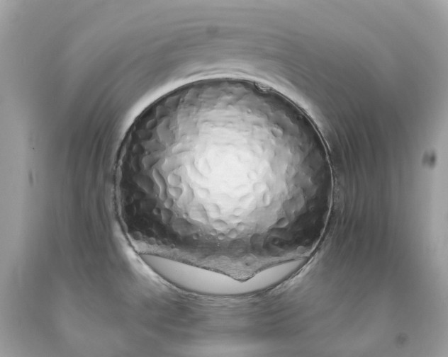 X0000091491534200709061850