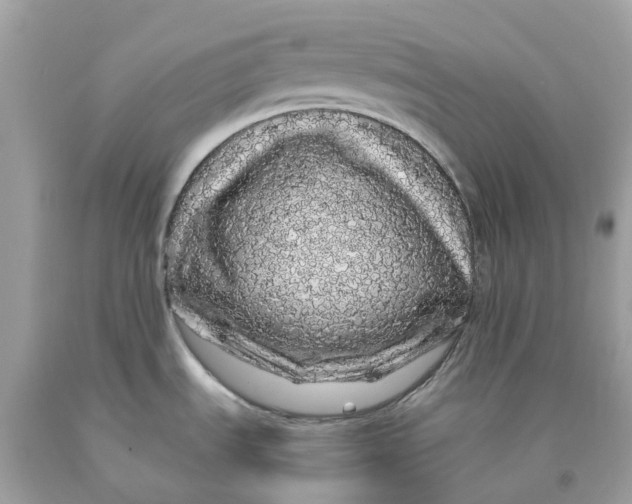 X0000091491535200709061850