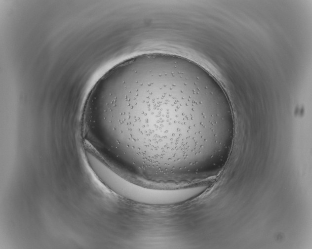 X0000091491536200709061850