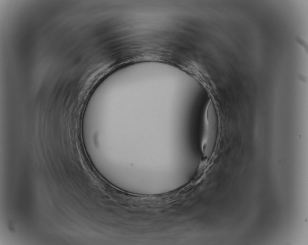 X0000091490001200709131839