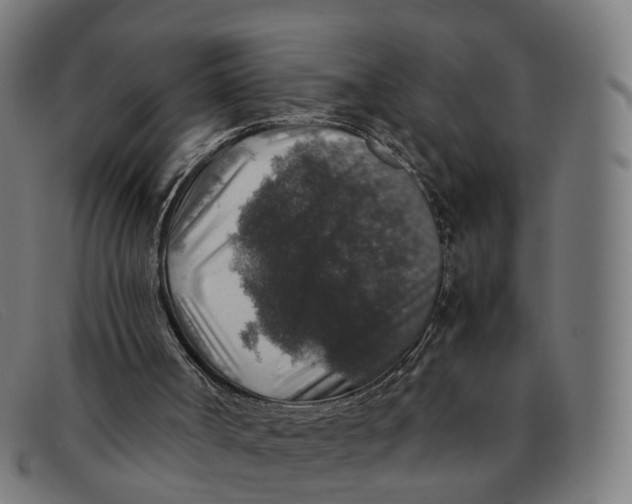 X0000091490002200709131839