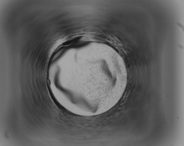 X0000091490003200709131839