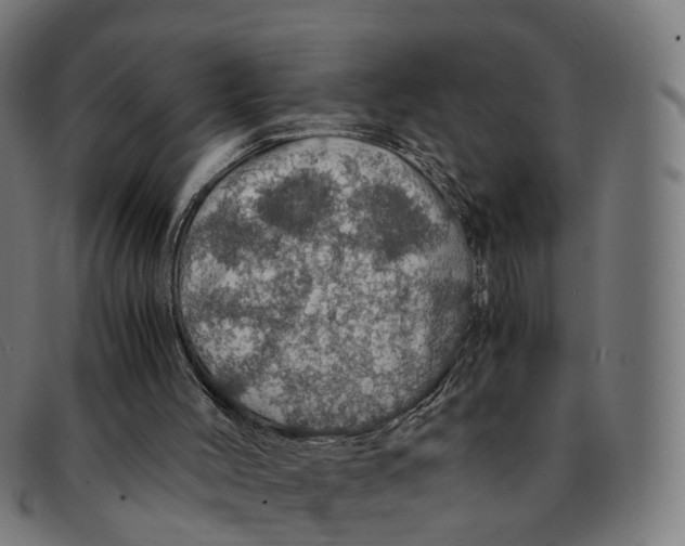 X0000091490004200709131839