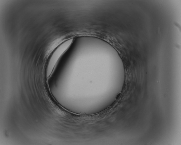 X0000091490005200709131839