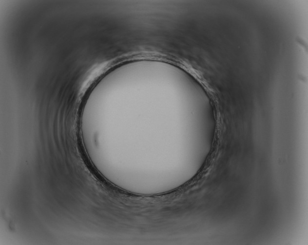X0000091490007200709131839