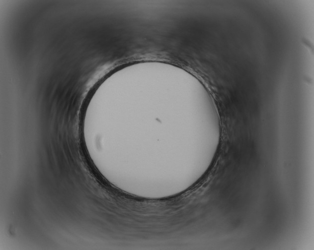 X0000091490008200709131839