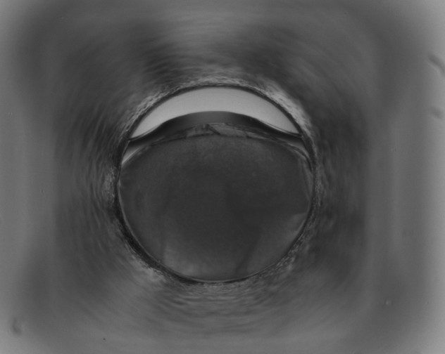 X0000091490009200709131839