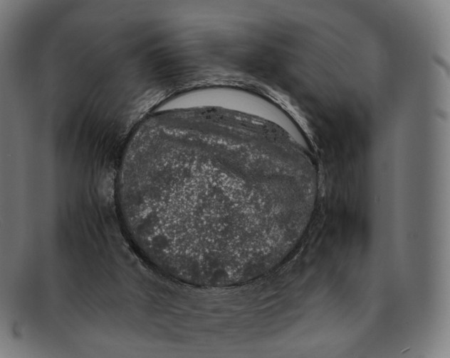 X0000091490010200709131839