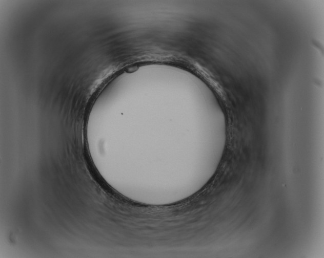 X0000091490011200709131839