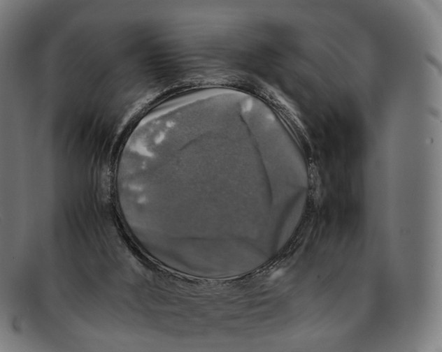 X0000091490012200709131839