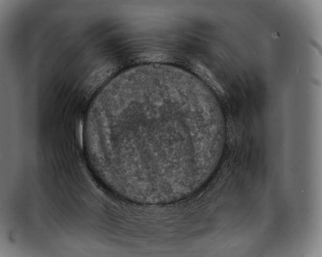 X0000091490014200709131839