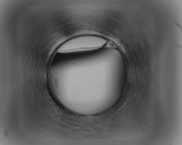 X0000091490015200709131839