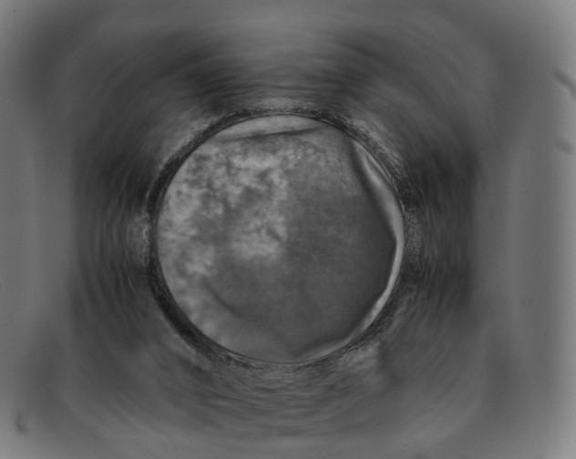X0000091490016200709131839