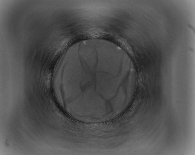 X0000091490018200709131839