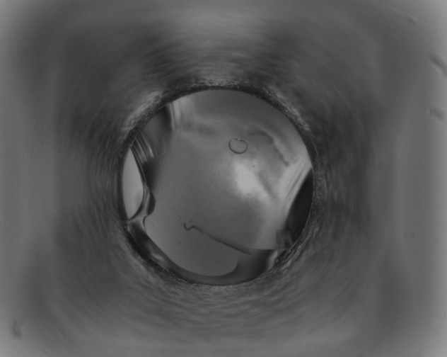 X0000091490019200709131839