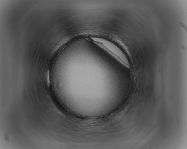 X0000091490020200709131839