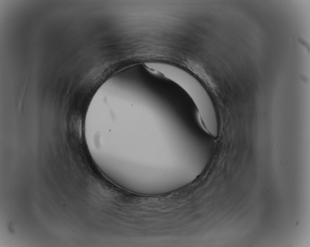 X0000091490021200709131839