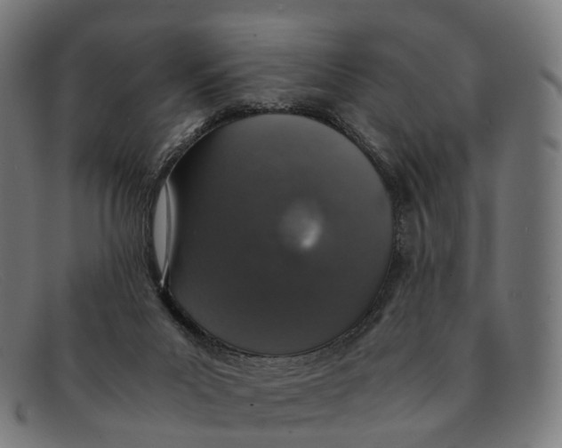 X0000091490023200709131839