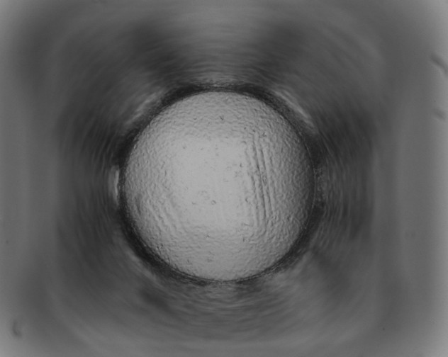 X0000091490024200709131839