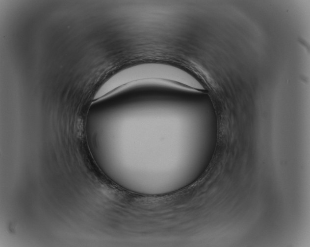 X0000091490025200709131839