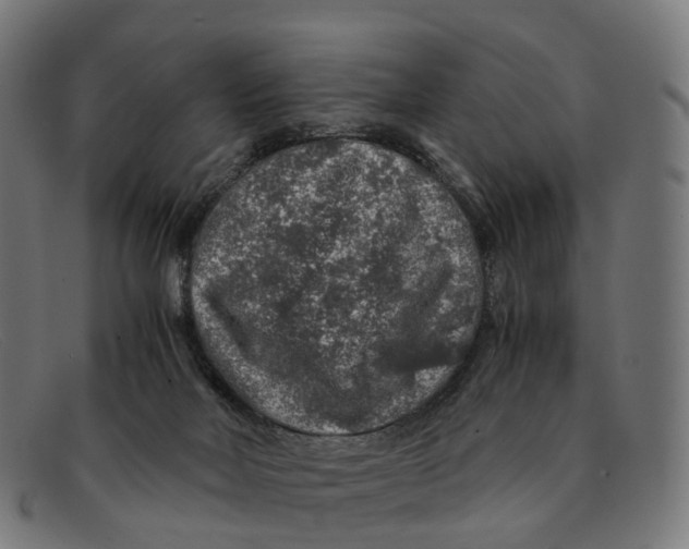 X0000091490026200709131839