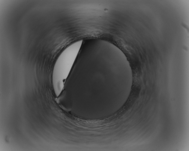 X0000091490027200709131839