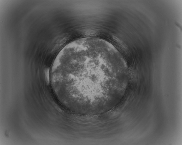 X0000091490028200709131839