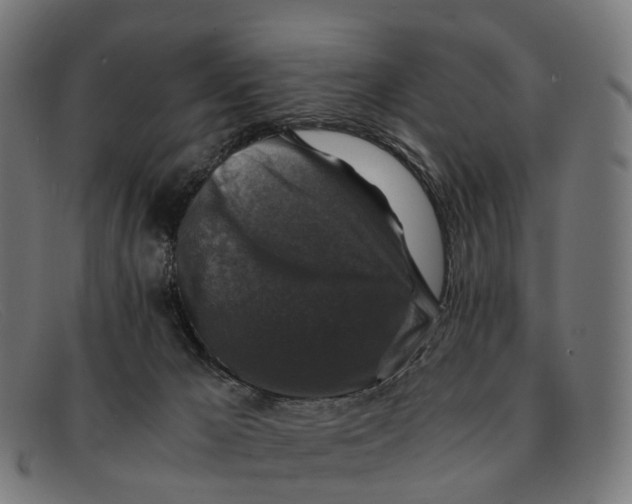 X0000091490029200709131839