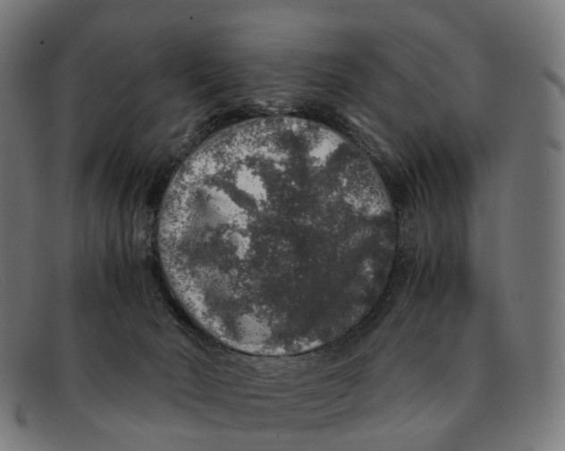 X0000091490030200709131839