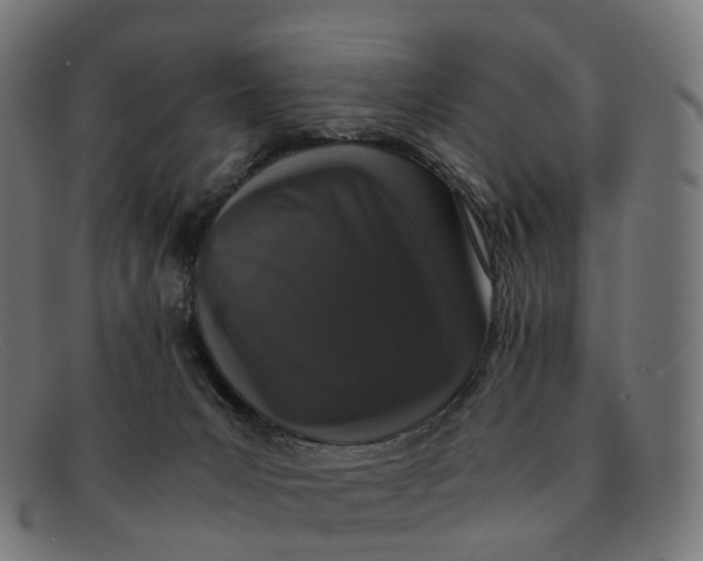 X0000091490031200709131839